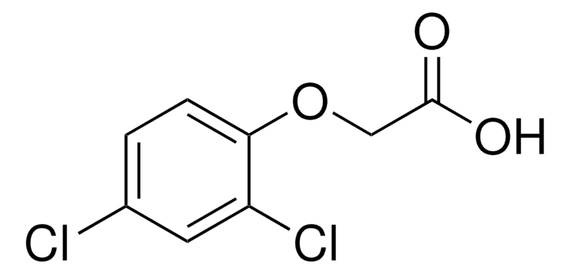 2,4-D Structure
